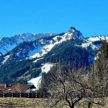 Lainbach In Waengle *