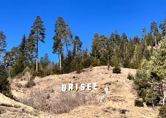 Hotel Lainbach In Waengle *